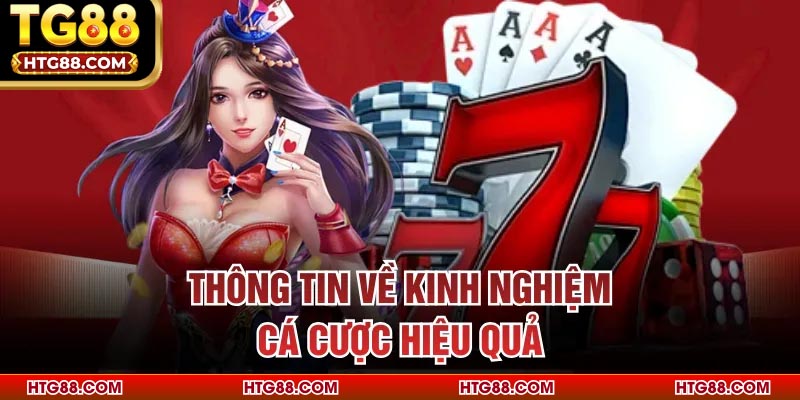 Thông tin về kinh nghiệm cá cược hiệu quả cùng 777 Crazy